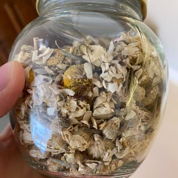 Evvahe Doğal Böcekli Ürünler, Hijyene Önem Yok