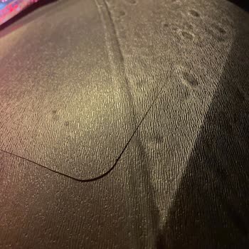 Renault Mais İlgilenmediğinden Yazdım