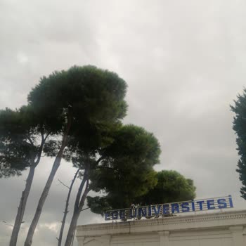 Ege Üniversitesi Hastanesi Hastane Randevu Sistemi Ve Personel İlgisi Üzerine Değerlendirme