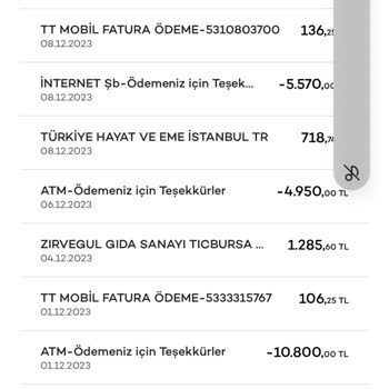 Türkiye Hayat Emeklilik Hakkında Mağduriyetimin Giderilmesi