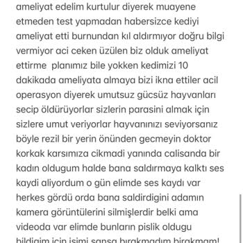 Zeytinburnu Veteriner Kliniği Kedimizi Öldürdü Ve İlgilenmedi Korkunç!