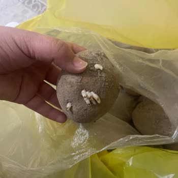 Şok Marketler Geç Ve Eksik Teslimat