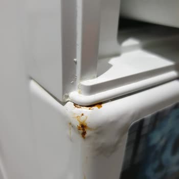 Siemens Çamaşır Makinem Küflendi. Aynı Yerden Küflenme Sorunu Çok