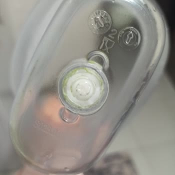 Brita Sürahim Yosun Tutuyor