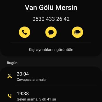 Van Gölü Mersin