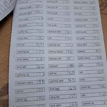 Milli Eğitim Bakanlığı (MEB) Çok Sayıda Ödev Verilmesi