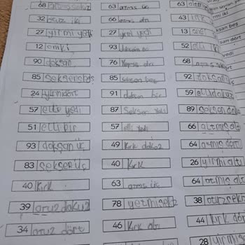 Milli Eğitim Bakanlığı (MEB) Çok Sayıda Ödev Verilmesi