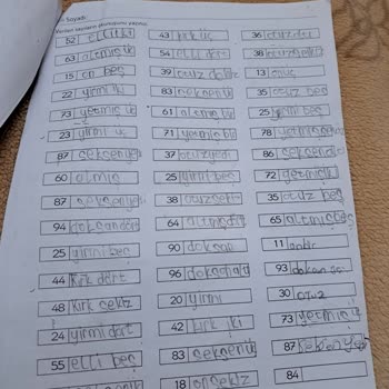 Milli Eğitim Bakanlığı (MEB) Çok Sayıda Ödev Verilmesi