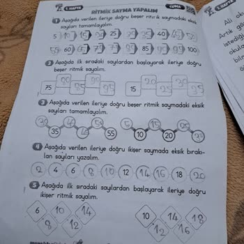 Milli Eğitim Bakanlığı (MEB) Çok Sayıda Ödev Verilmesi