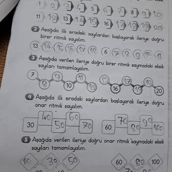 Milli Eğitim Bakanlığı (MEB) Çok Sayıda Ödev Verilmesi