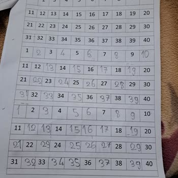 Milli Eğitim Bakanlığı (MEB) Çok Sayıda Ödev Verilmesi