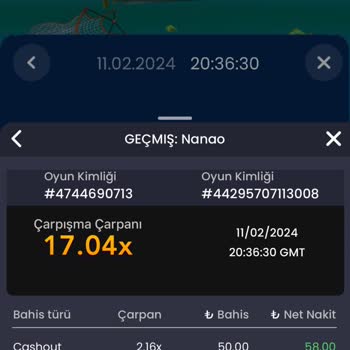 Betturkey Oyun Kazancım Hesabıma Yansımadı
