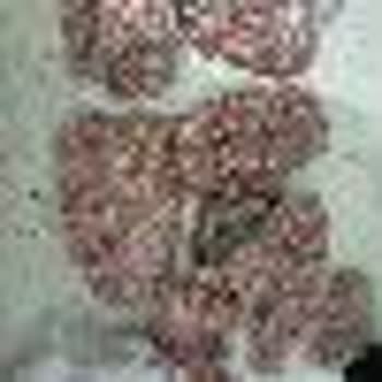 Migros'ta Satılan Et Problemi