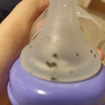 Lansinoh Biberon Başlığı Siyahlaşması