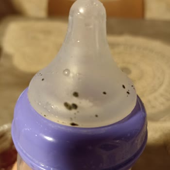 Lansinoh Biberon Başlığı Siyahlaşması