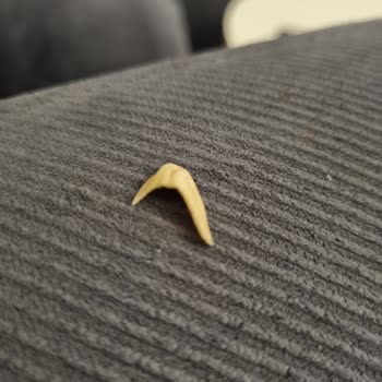 Tadım Fıstıklı Bardan Bıçak Gibi Kabuk Cıktı