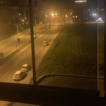 Çorlu Belediyesi Esentepe'de Başıboş Köpek Tehlikesi