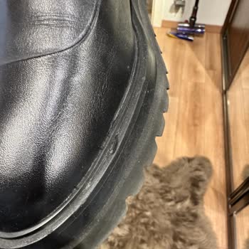 Divarese İçin Utanç Tablosu