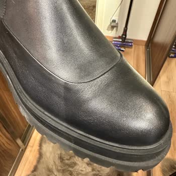 Divarese İçin Utanç Tablosu