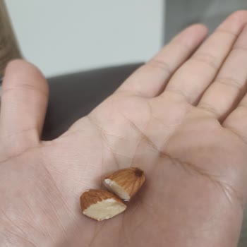 Tadım Çiğ Kuruyemişin Kavrulmuş Çıkması