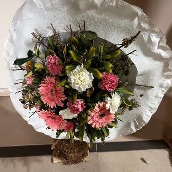 Osevio.com Oseviyo Sahte Sipariş Hattı