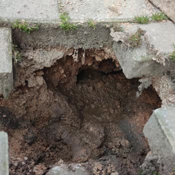 Kocaeli Büyükşehir Belediyesi Kanalizasyon Sorunlarının Vatandaşa Yüklenmesi