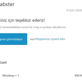 Mini-labsters.com 19 Aralık 2023 Tarihli Siparişim Gelmedi