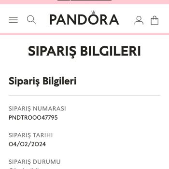 Pandora Ve UPS Türkiye Sorunu!