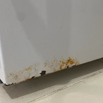 Profilo Buzdolabı Kapak Paslanması