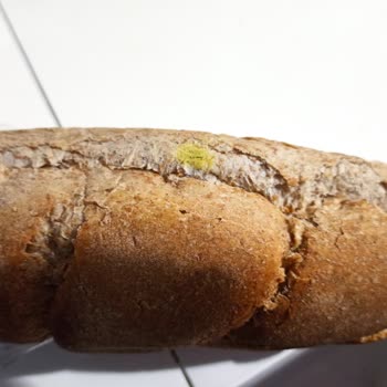 A101 Tam Buğday Çeşit Ekmeğin Tarihi Geçmiş Ve Küflenmiş.