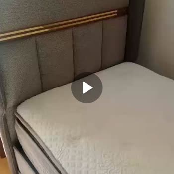 Evkur Isparta'dan Alınan Baza Takımında Çıkan Tahta Kurusu