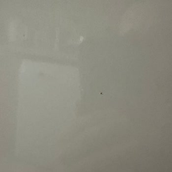 Vestel'den Memnun Değilim