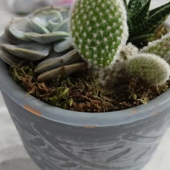 Olmadı Böyle Çiçek Sepeti Tam Bir Hayal Kırıklığı Yaşadım.