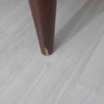 Vivense Alırken İyi Düşünmek Lazım