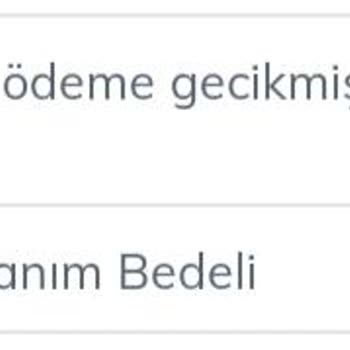 Türk Telekom 20₺ Lik Mobil Ödeme İçin 25₺lik Gecikme Bedeli Tahsili (2 Gün Gecikme)