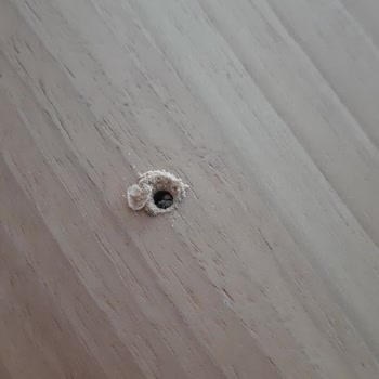 Mas'sa Masa Sandalye (Instagram: Antaresmassa) İlgisizliği ve Yaşadığım Mağduriyet