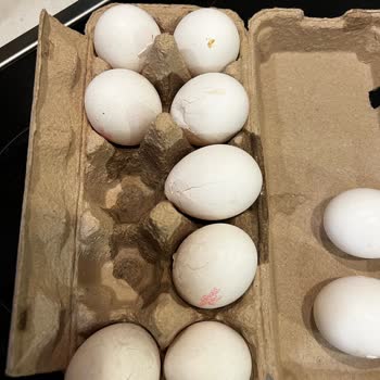 Carrefour SA Her Seferinde Kırık Yumurta