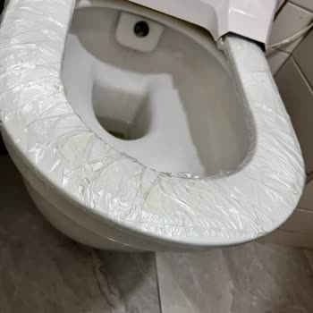 BP'nin Tuvalet Sorunu