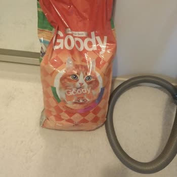 Goody Kedi Maması Tam Bir Fiyasko