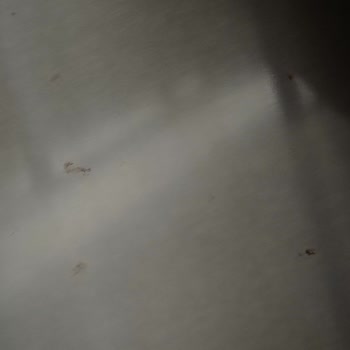 Bosch Buzdolabı Kapaklarında Paslanma