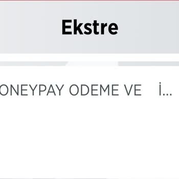 MoneyPay De Paramı Alamıyorum