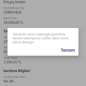 ING Bankasının Mobil Bankacılık Problemleri!