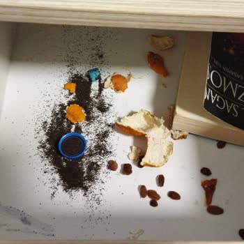 Erzurum KYK Yurdunda Yaşanan Sorunlar Ve Güvenlik İhmalleri