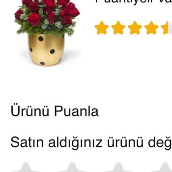 ÇiçekSepeti Ayıplı Mal Satmak