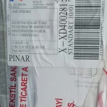 Bernardo Para İadesi Sorunu