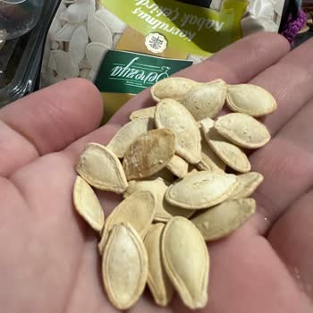 Para İçin Bizlere Zehir Satan Kendisininde Şerefini Satan A101