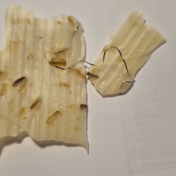 Metallstück Vorfall in der Packung von Filikler Maraş Tarhana