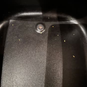 Electrolux Sepet Kulpunun Kırılması