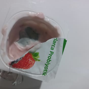 Danone Activia Probiyotikli Yoğurt
