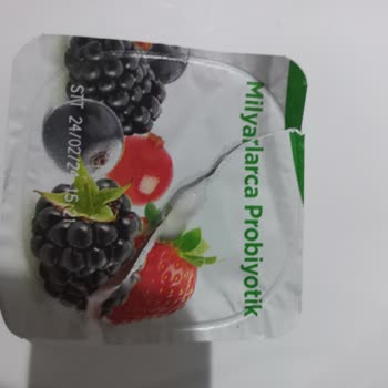 Danone Activia Probiyotikli Yoğurt